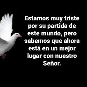 Meet your Posher, Sendy